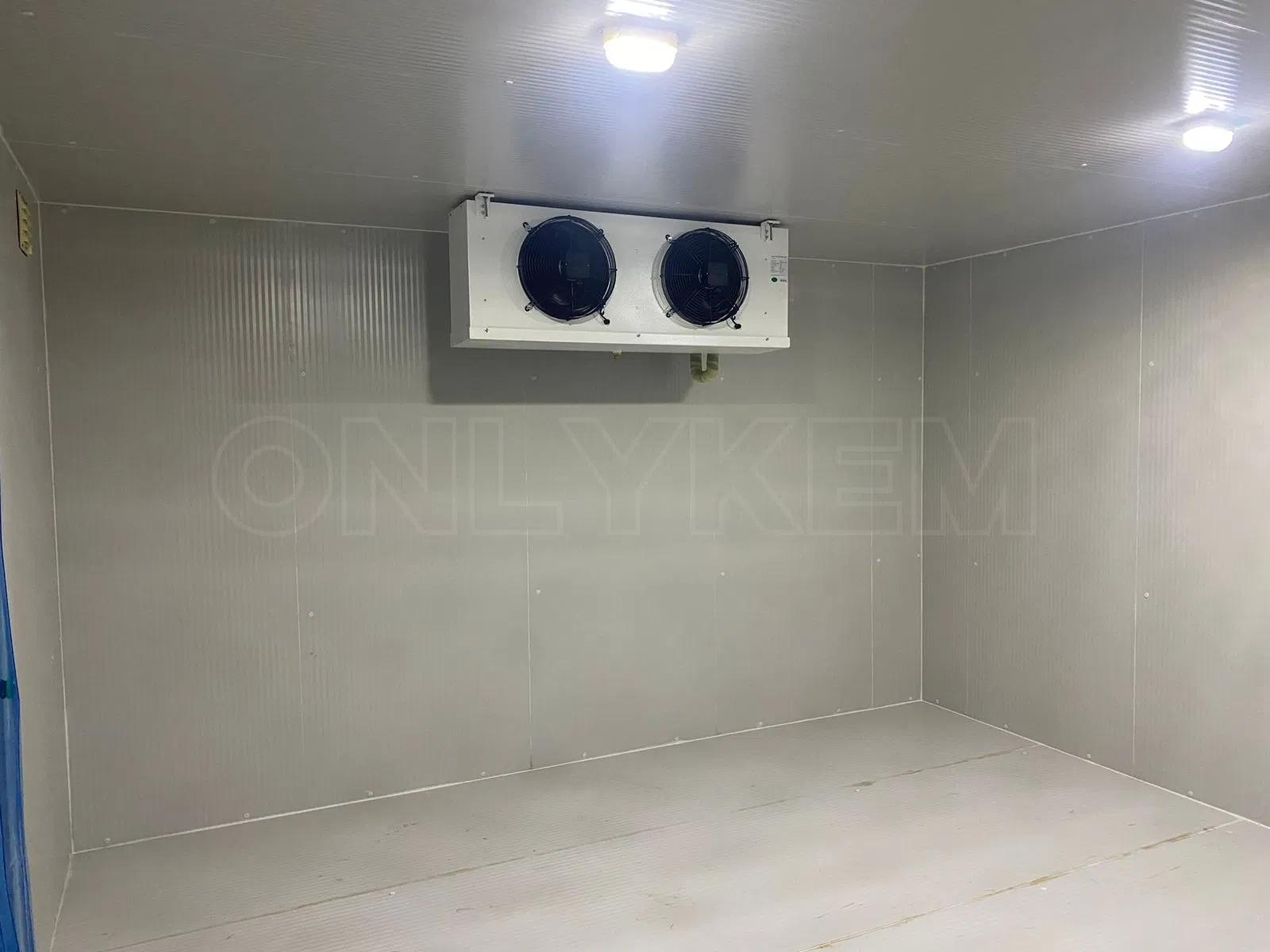 Sandwich Panel Cold Storage Cool Chamber Room with Condensing Refrigeration Unit