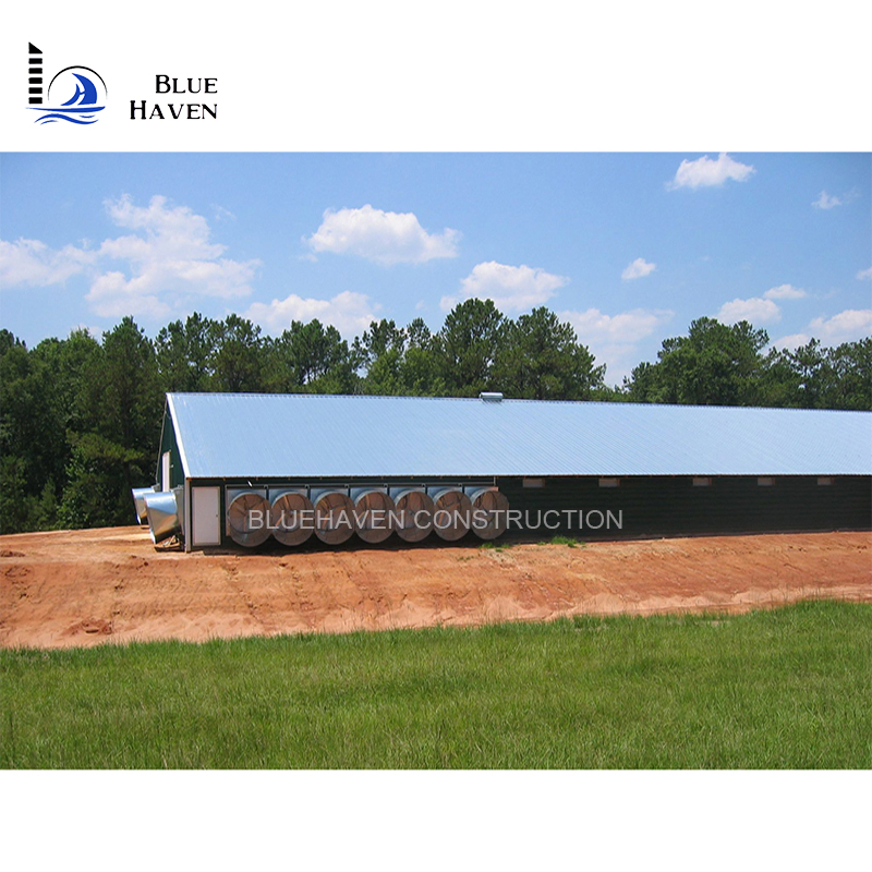 Prefabricated Steel Structures Poultry Farm House Shed/Steel Structural Chicken Shed