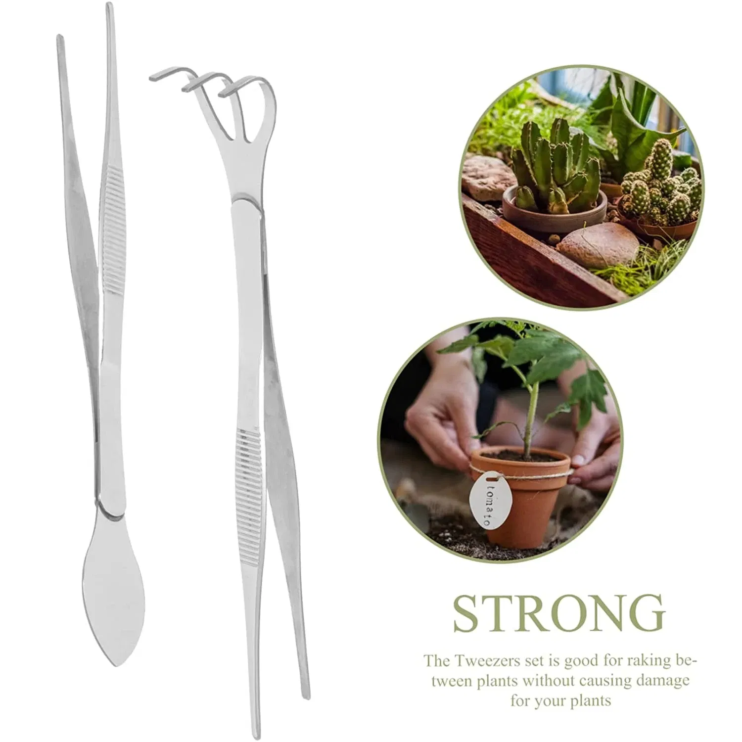 304 Stainless Steel Rake 2-in-1 Bonsai Tool with Soil Crafting with Farming Tweezers for Succulents