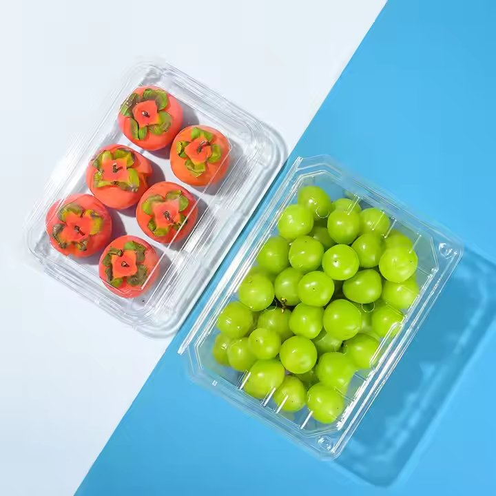 Plastic Plant Pot Suppliers Compostable Per Sushi Box Logo Seaweed Disposable Takeaway