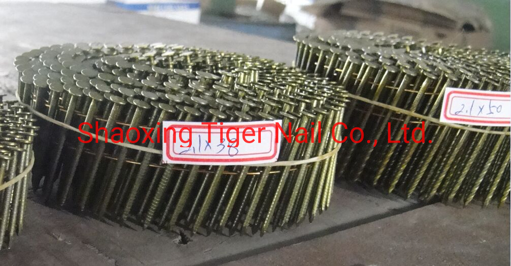Coil Nail2.5 (6.2) for Stapler