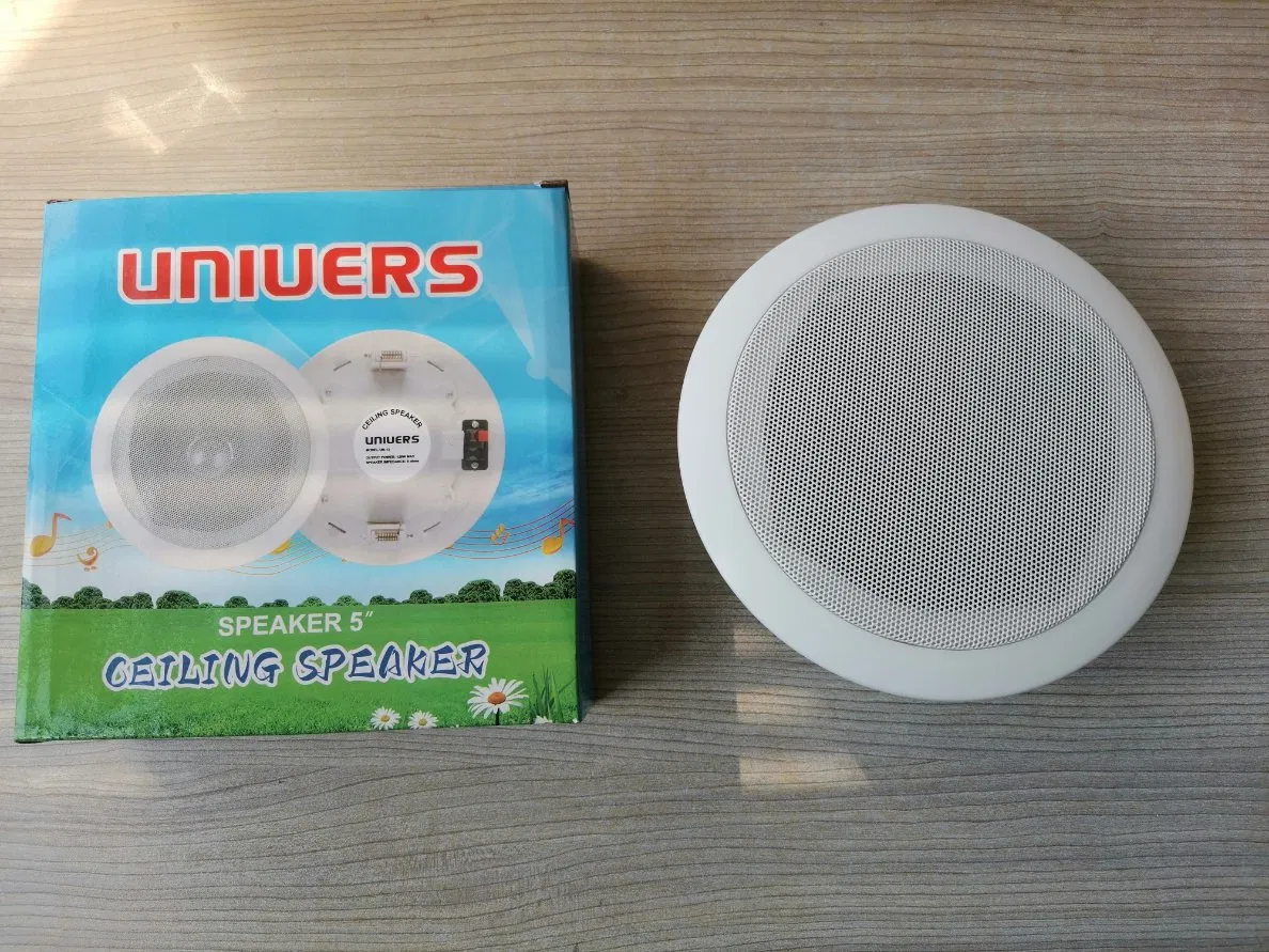 5 Inch CE Audio Speaker Ceiling Mount Speaker
