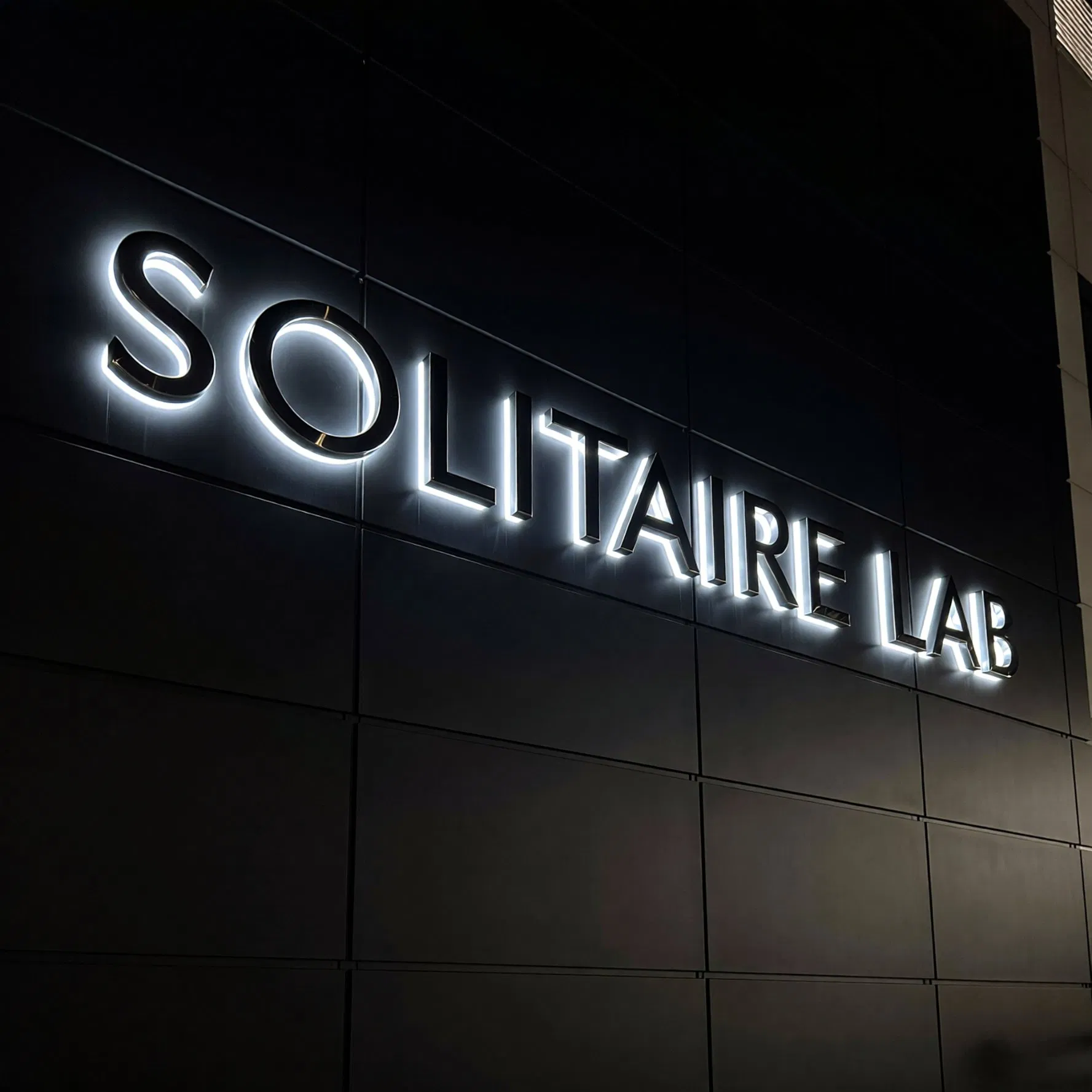Custom Backlit Business Logo 3D Acrylic LED Letter Acrylic LED Illuminated Sign
