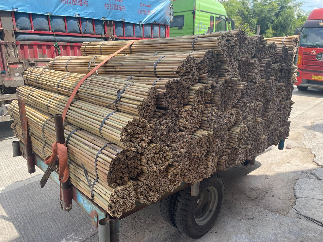 Bamboo Sticks Poles Canes Stakes for Plant Support