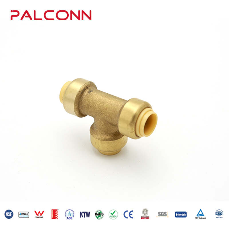 ASTM Standard Lead Free Pex Push-Fit Fittings