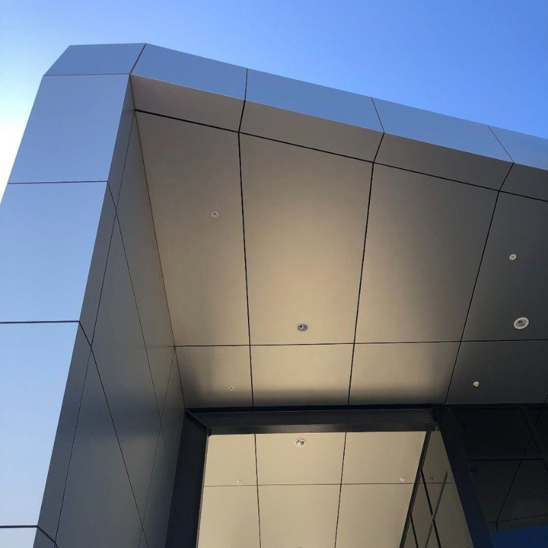 Aluminium Composite Panel Cladding Waterproof Plastic Wall Panels out Doors