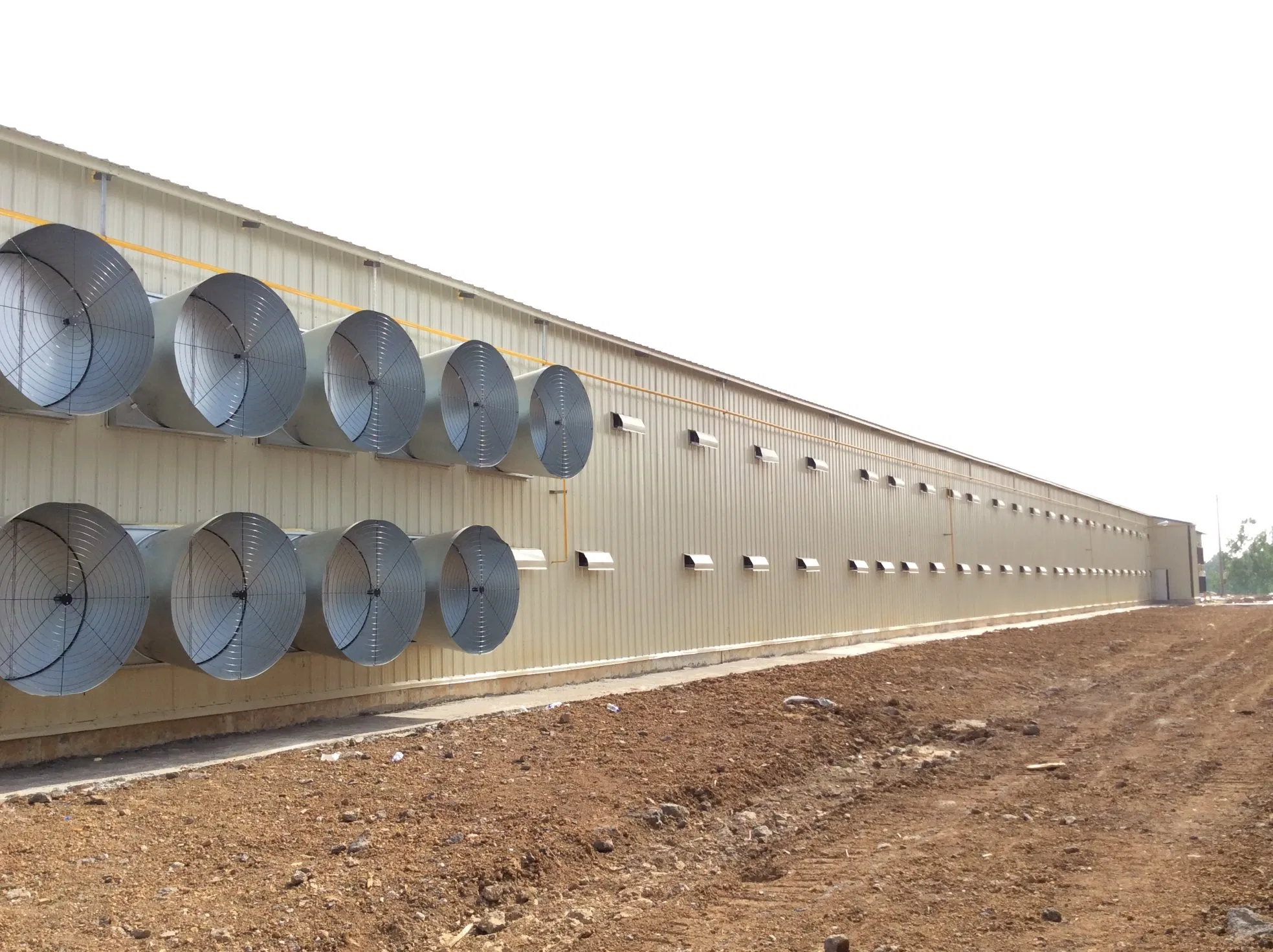 Galvanized Prefabricated Light Steel Structure Design Chicken Poultry Chicken Farm Shed Building Construction