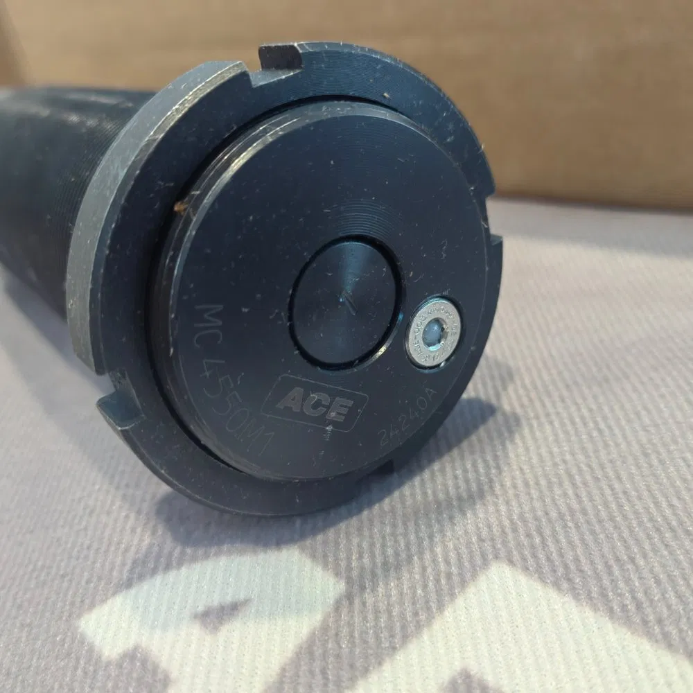 New Original ACE 217-0017 Shock Absorber 4550M1