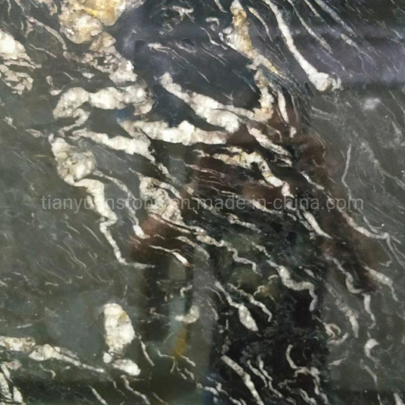 Chinese Black Silver Paradiso Granite for Countertop Bathroom Wall Tile
