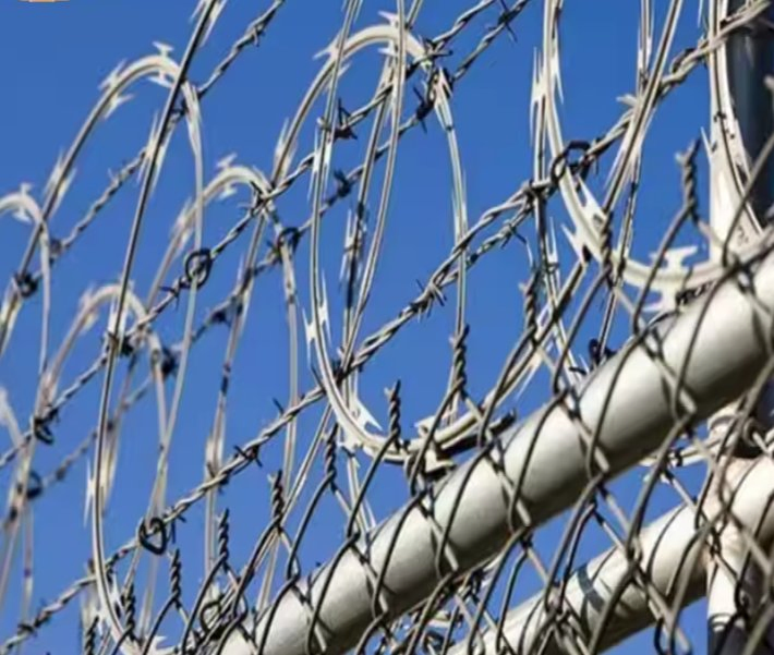 Galvanized Razor Wire Roll Steel Barbed Wire Fence for Outdoor Razor Wire Mesh