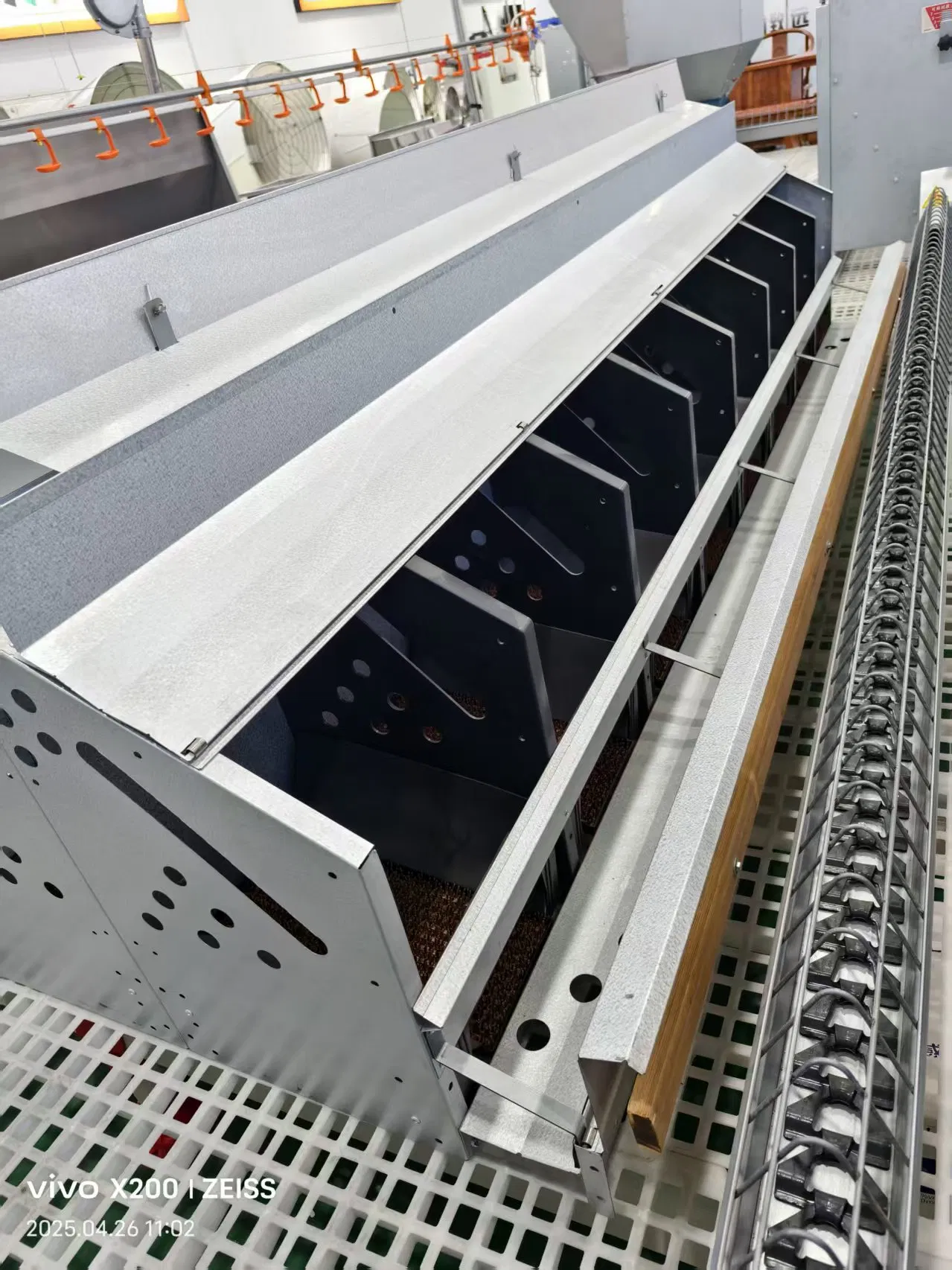 Professional Complete Set of Automatic Machine-Type Sandwich Panel Steel Structure Chicken Coop