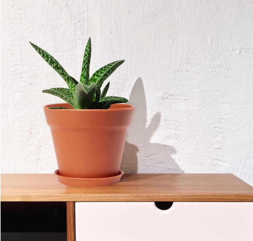 4 Inch Plastic Plant Pots 6 Pack, Small Flower Pots with Drainage Holes and Tray