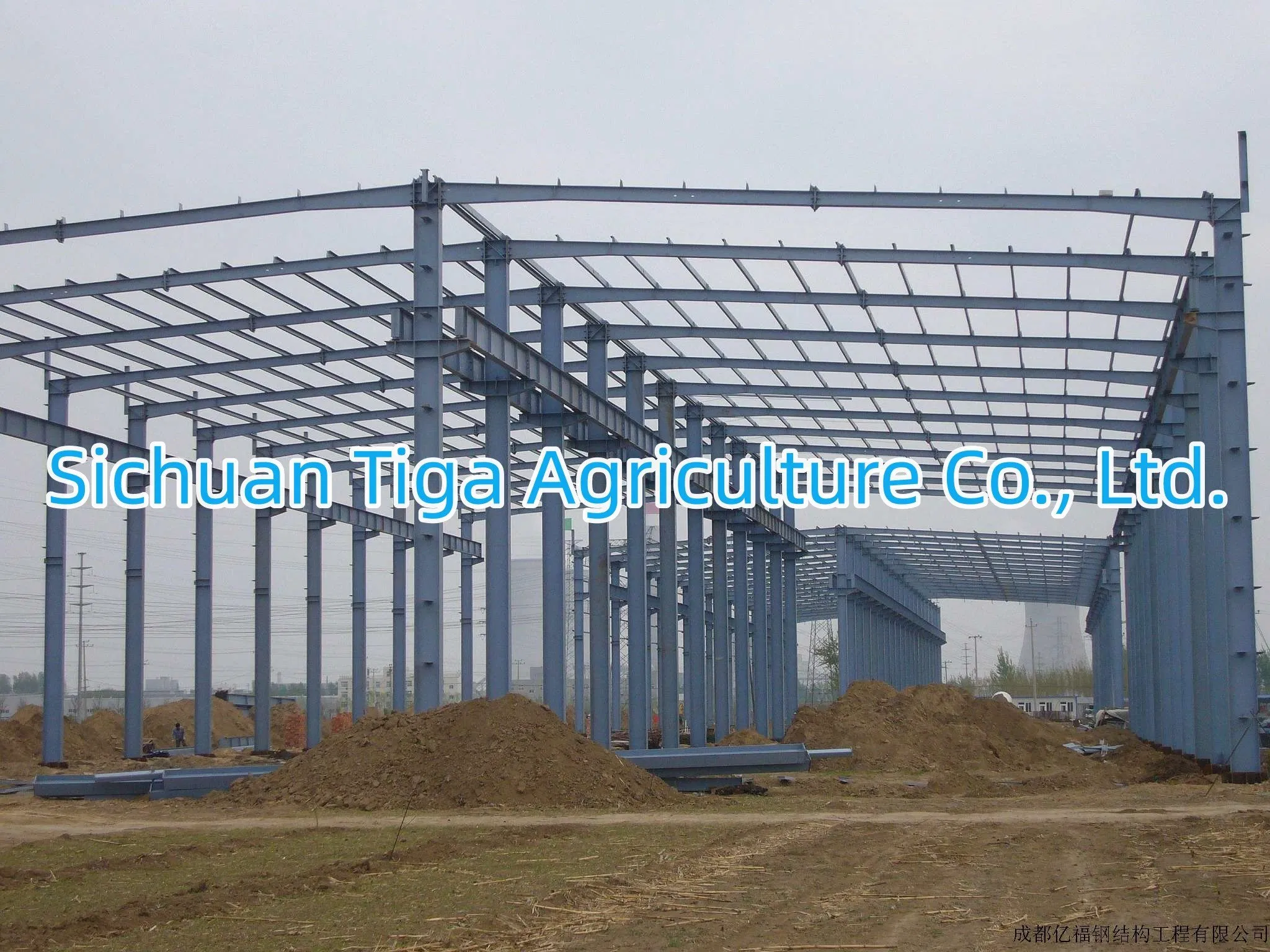 Customized Steel Structure Constructions for Factories, Warehouses, Cold Storages and Green House