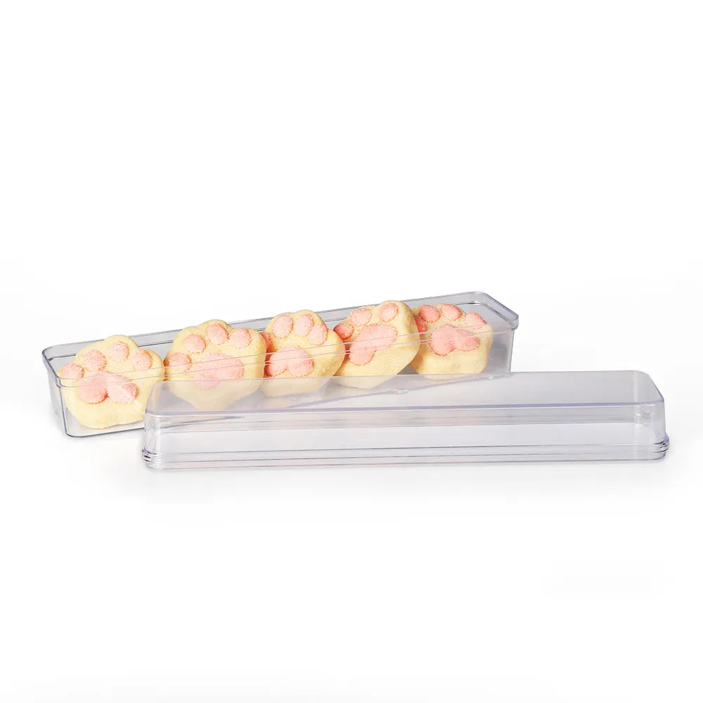 Plastic Clear Container with Lid for Food and Cake