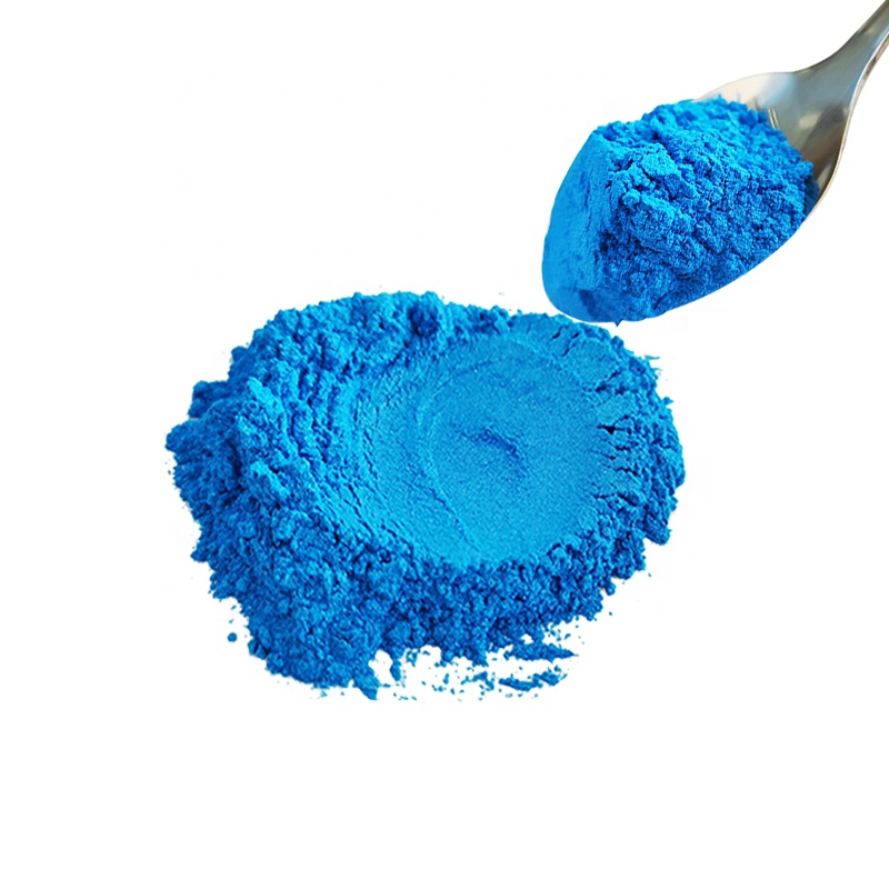Professional Glitter Eyeshadow Powder Makeup Shiny Loose Mica Pigment Powder