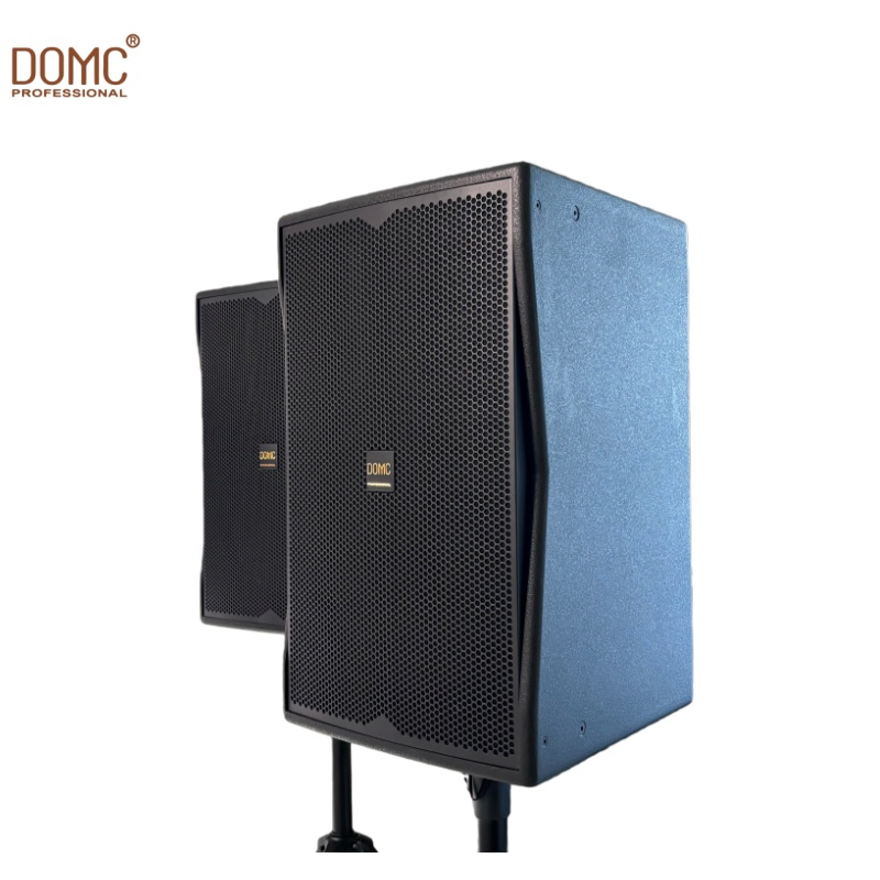 Domc K210 10-Inch Speaker with Wide Dynamic Range