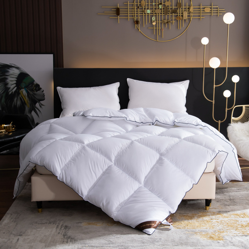 The Latest Hot Sale Washable Poolyester Fiber Quilt Breathable and Good Quality with 100% Cotton Quilt