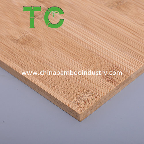 Wholesale 2 Layer 10mm Horizontal Bamboo Panel Plywood Board