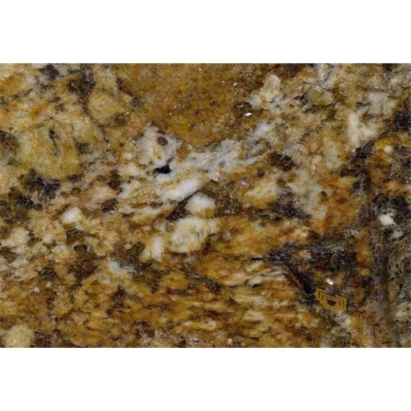 Honed/Polish Bianco Antico Yellow/Gold Granite for Wall/Tiles/Countertop/Vanitytop