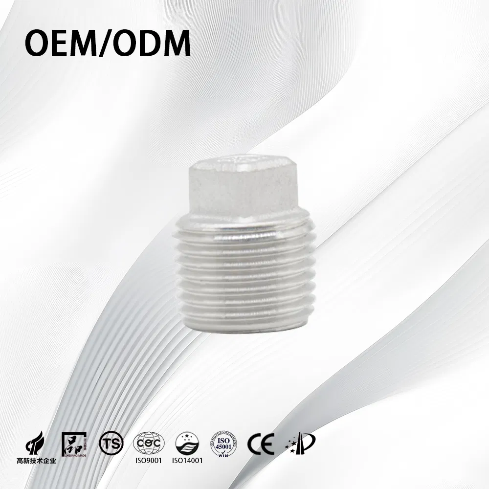 Stainless Steel Industrial Customize Anti-Corrosion End Plug with Square Head