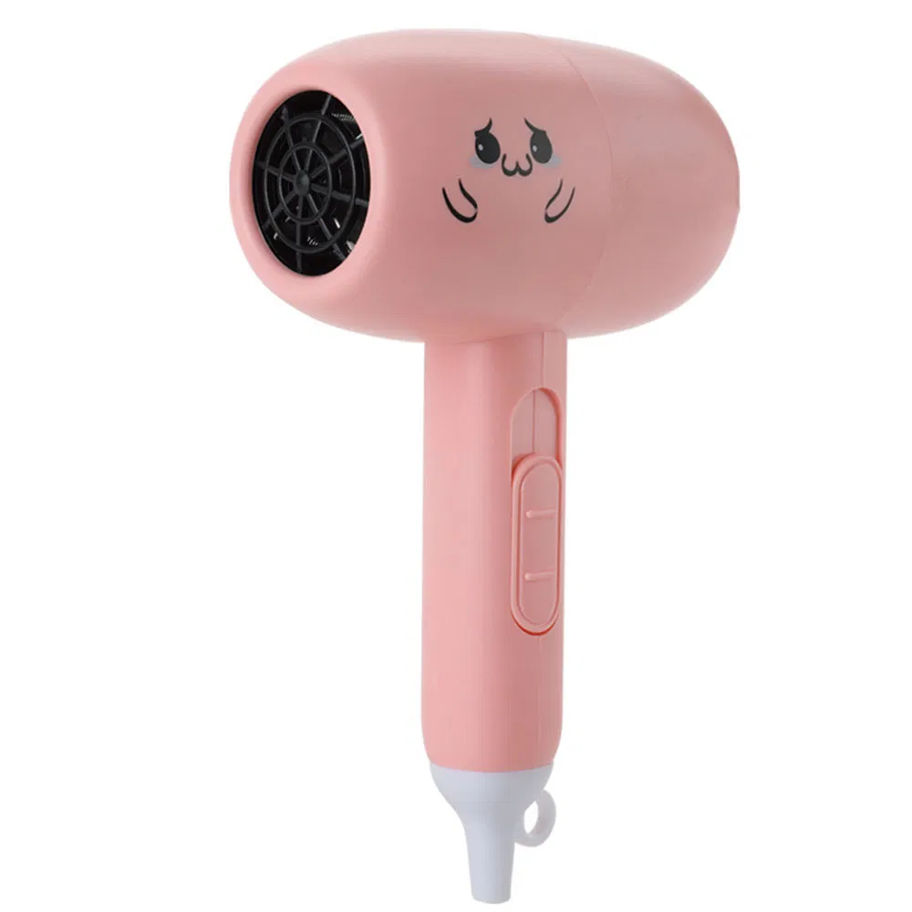 Best-Selling Budget-Friendly Constant Temperature Hair Care Negative Ion High Speed High Power Electric Hair Dryer