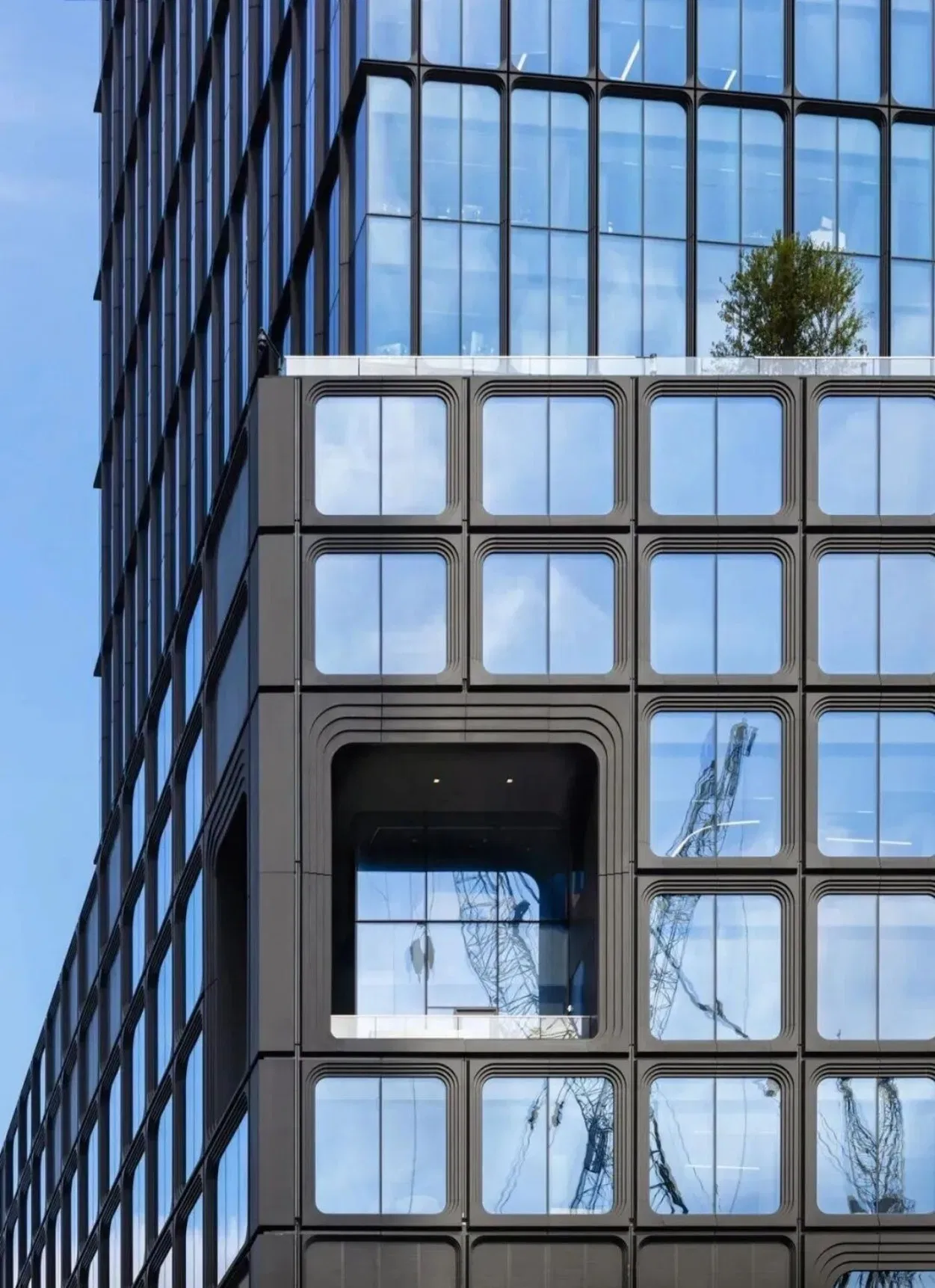 Energy-Saving High-Strength Sturdy Outstanding Steel Glass Glazing Curtain Wall