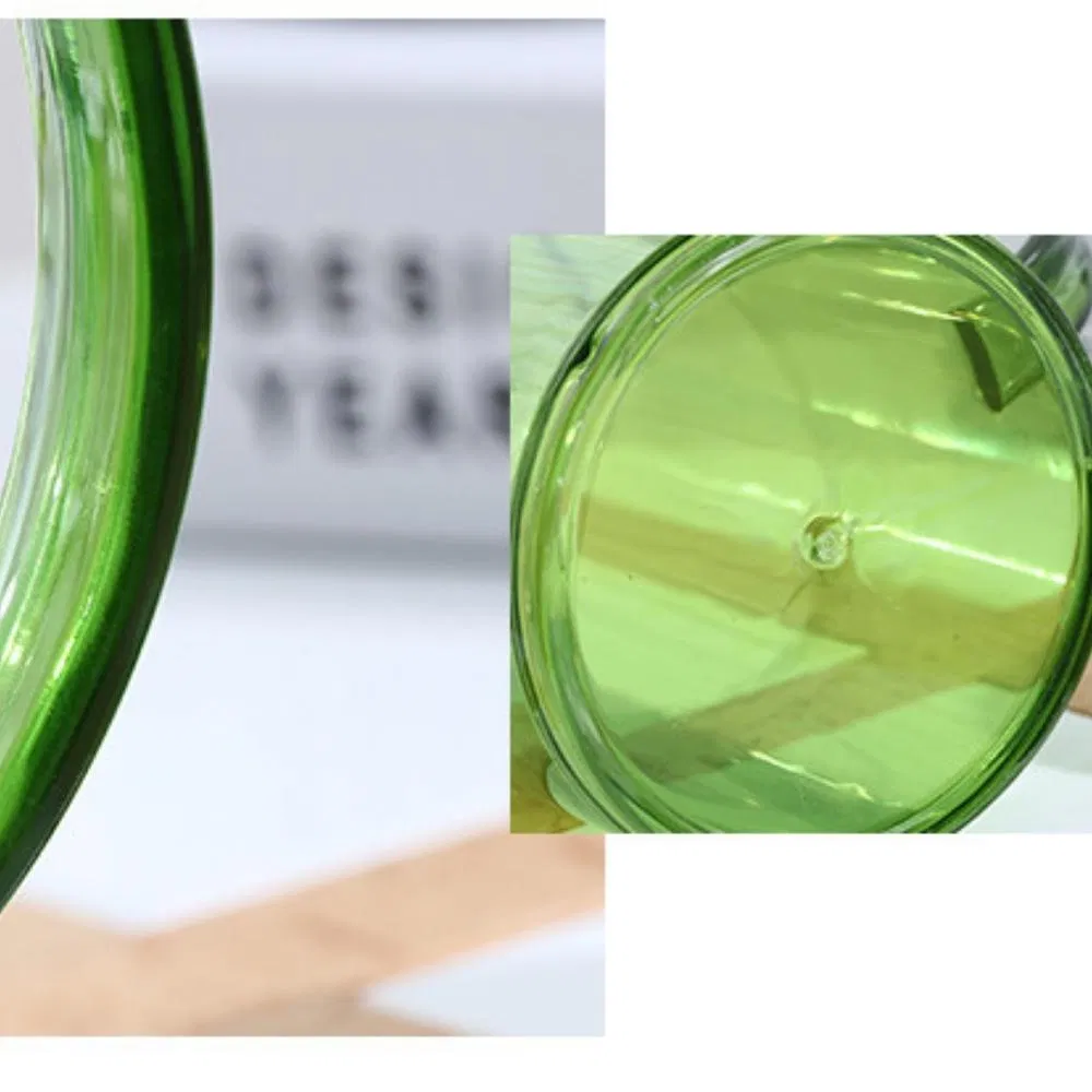 House Plant Steel Long Pot Spout Watering Can Ci20768