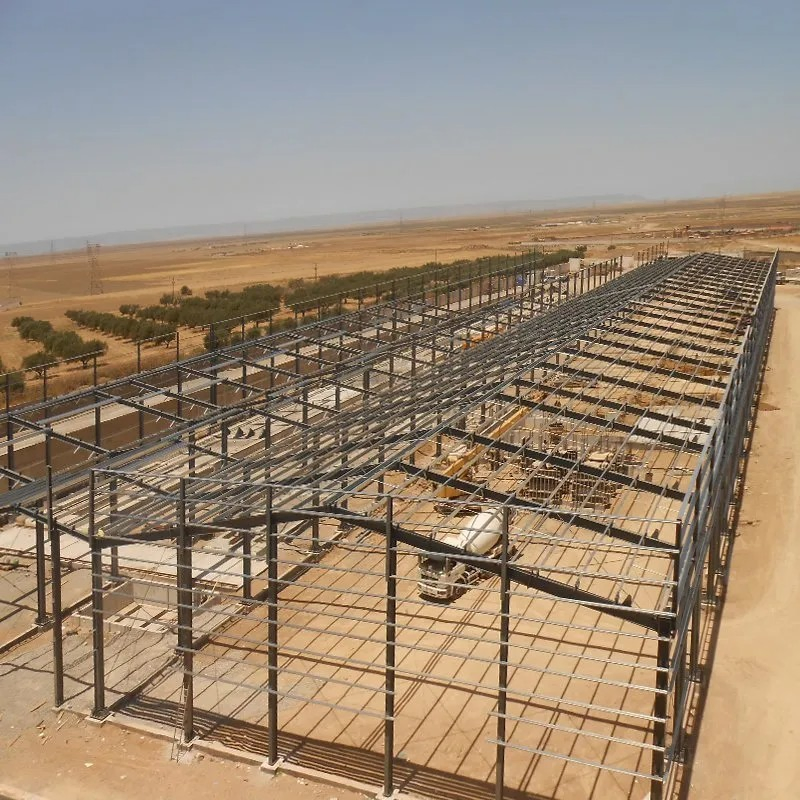 China Made Light Steel Frame Factory Shed Metal Warehouse Structure