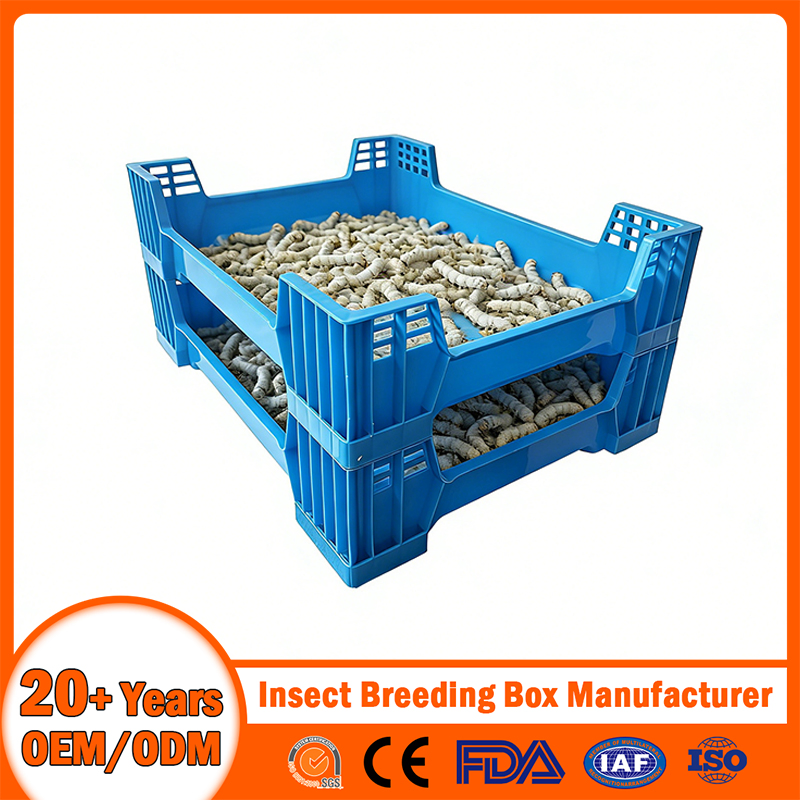 China Plastic Insect Breeding Box Manufacturer Stackable/Attached Lid/Nestable/Lobster/Bale Arm/EU/Euo Moving Mesh Turnover Logistic/Bread/Egg/Beer Tote Box