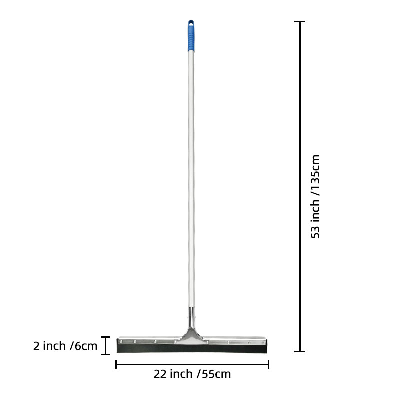22" Stainless Steel Curved Rubber Squeegee with 53" Long Handle
