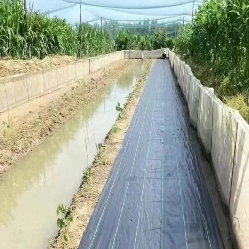 Custom-Size Anti-Grass PE Ground Cover Mesh Weed Mat for Garden Use