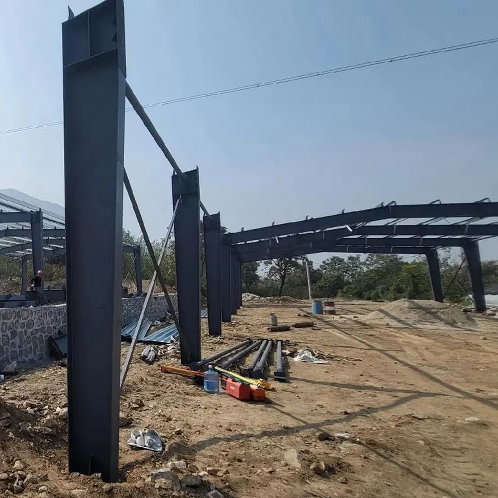 Prefabricated Steel Structure Livestock Farm Building