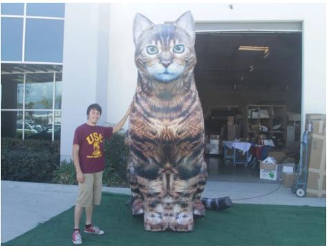 2023 New 20 FT. Giant Inflatable Realistic Black Cat