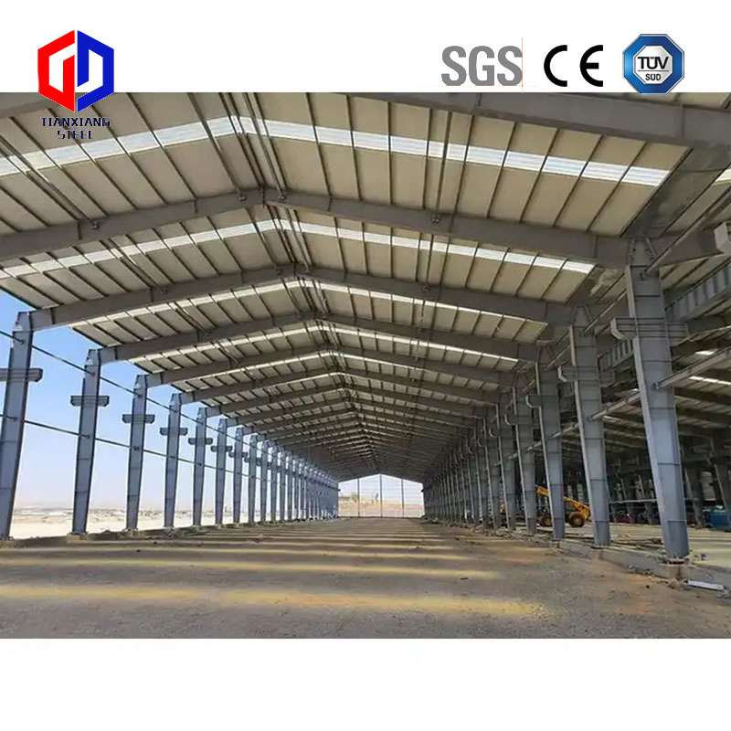 Modern Prefab Steel Structure Chicken Poultry Farm Farming Design House Chicknes Houses Price for Sale