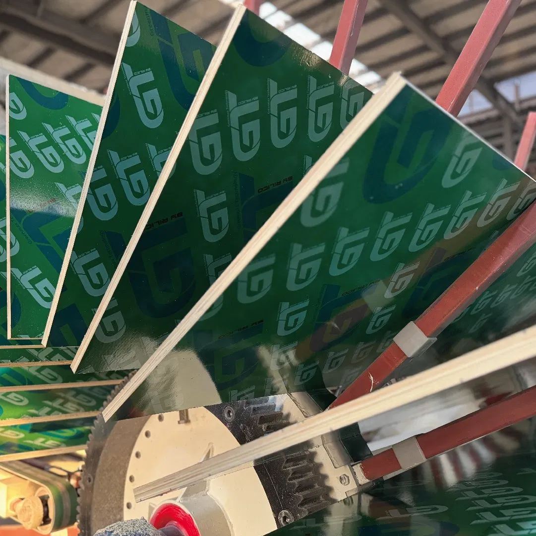 4X8 18mm Gt Film Green PP Plastic Plywood Sheet for Construction