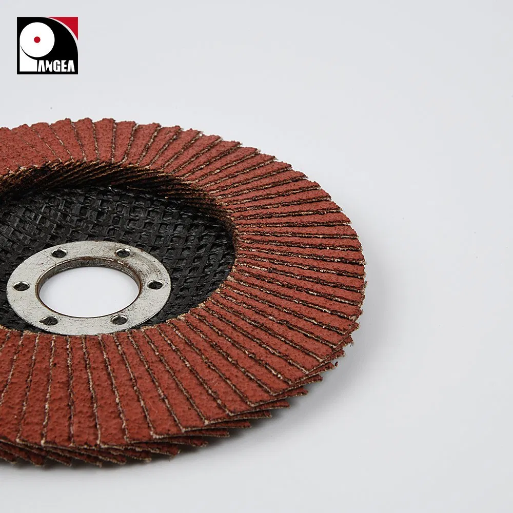 Vertical Flap Disc for Glass