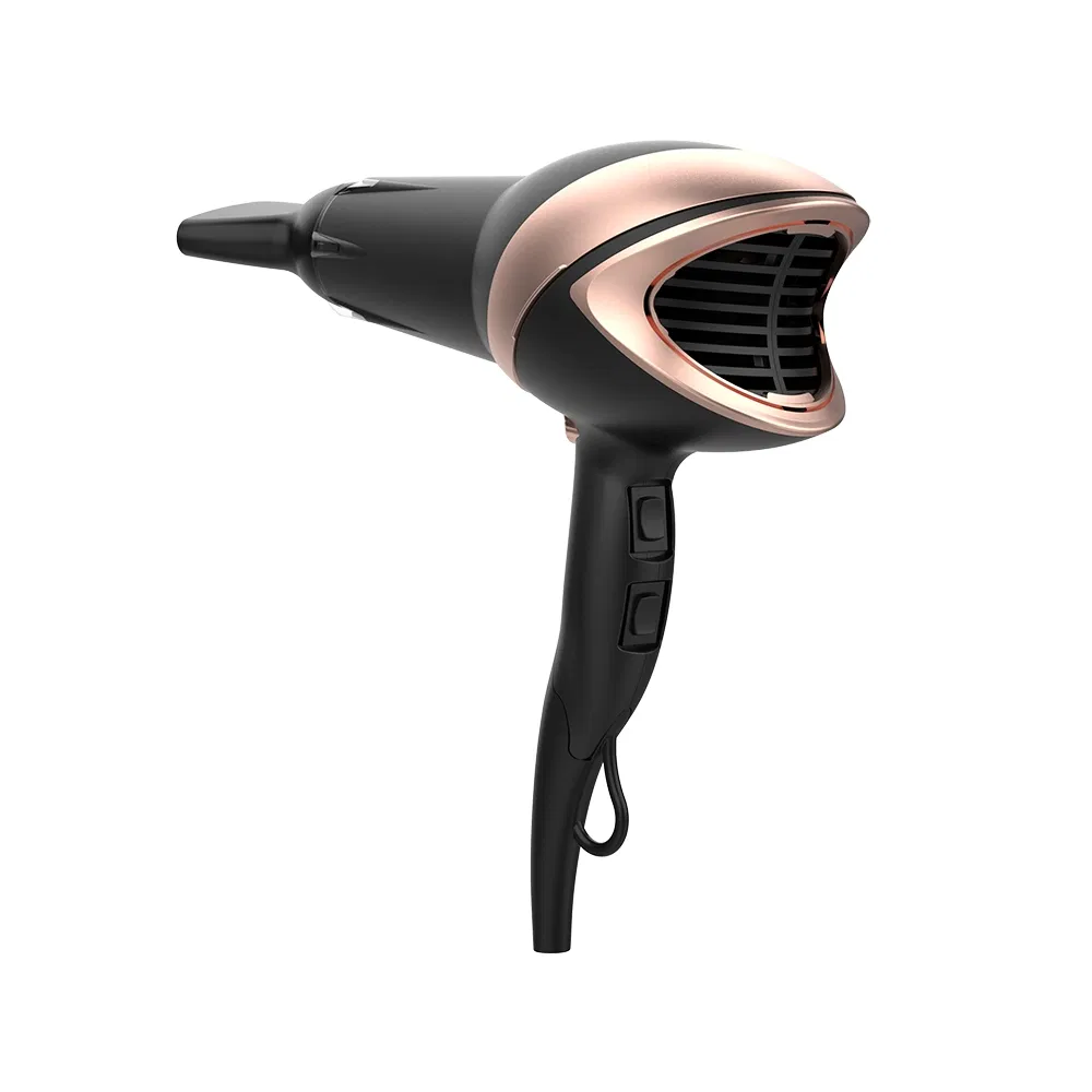Professional Salon Negative Ion Constant Temperature Hair Dryer Strong 2200W Hot and Cold Wind Home Hair Dryer