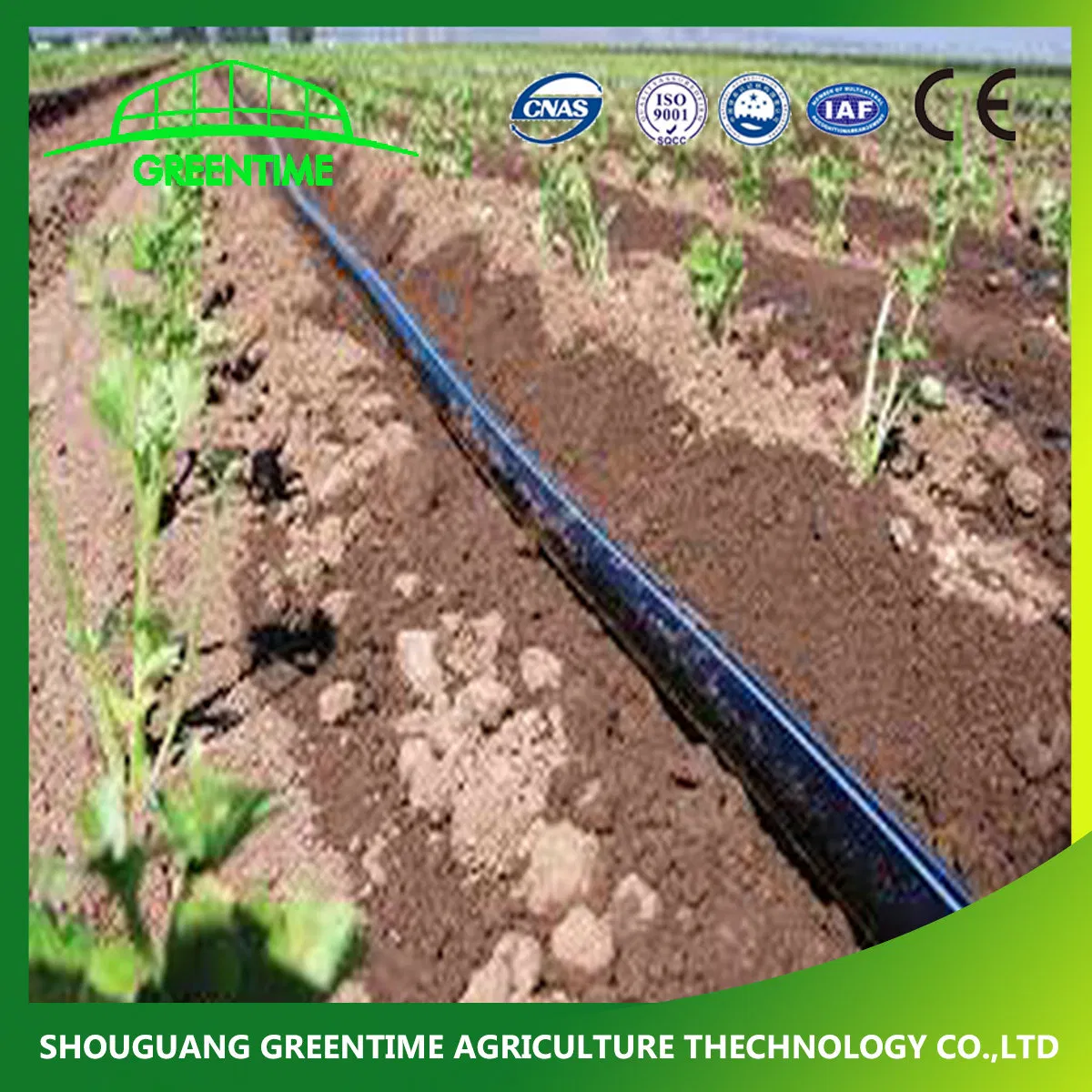 Manufacturer High Quality Drip Irrigatin Pipes for Agriculture Water Saving Irrigation System