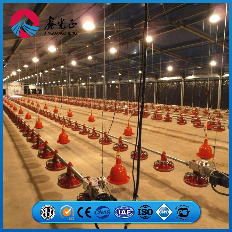 Steel Column Flange Joint Frame Chicken Prefab Metal Farming Equipment Steel Structure Sheep/Goat/Pig/Hog/Cattle/Cow/Poultry House/Shed