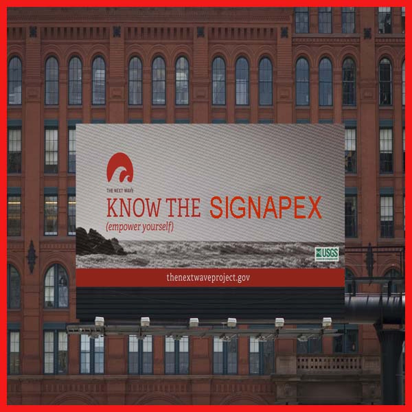 High Glossy PVC Flex Frontlit for Advertising 440GSM