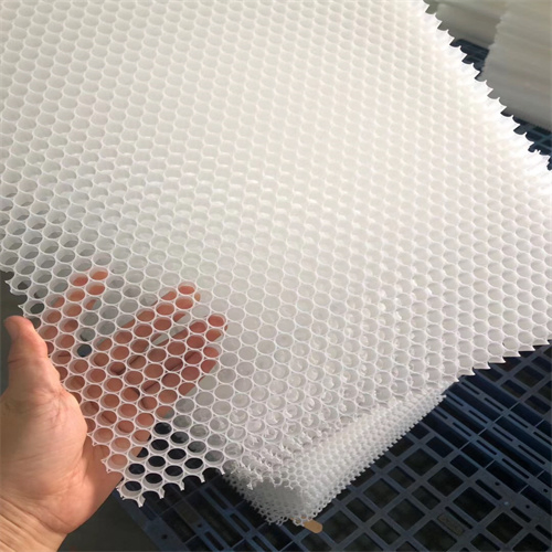 PP Honeycomb Core for Yacht Camper Truck Body