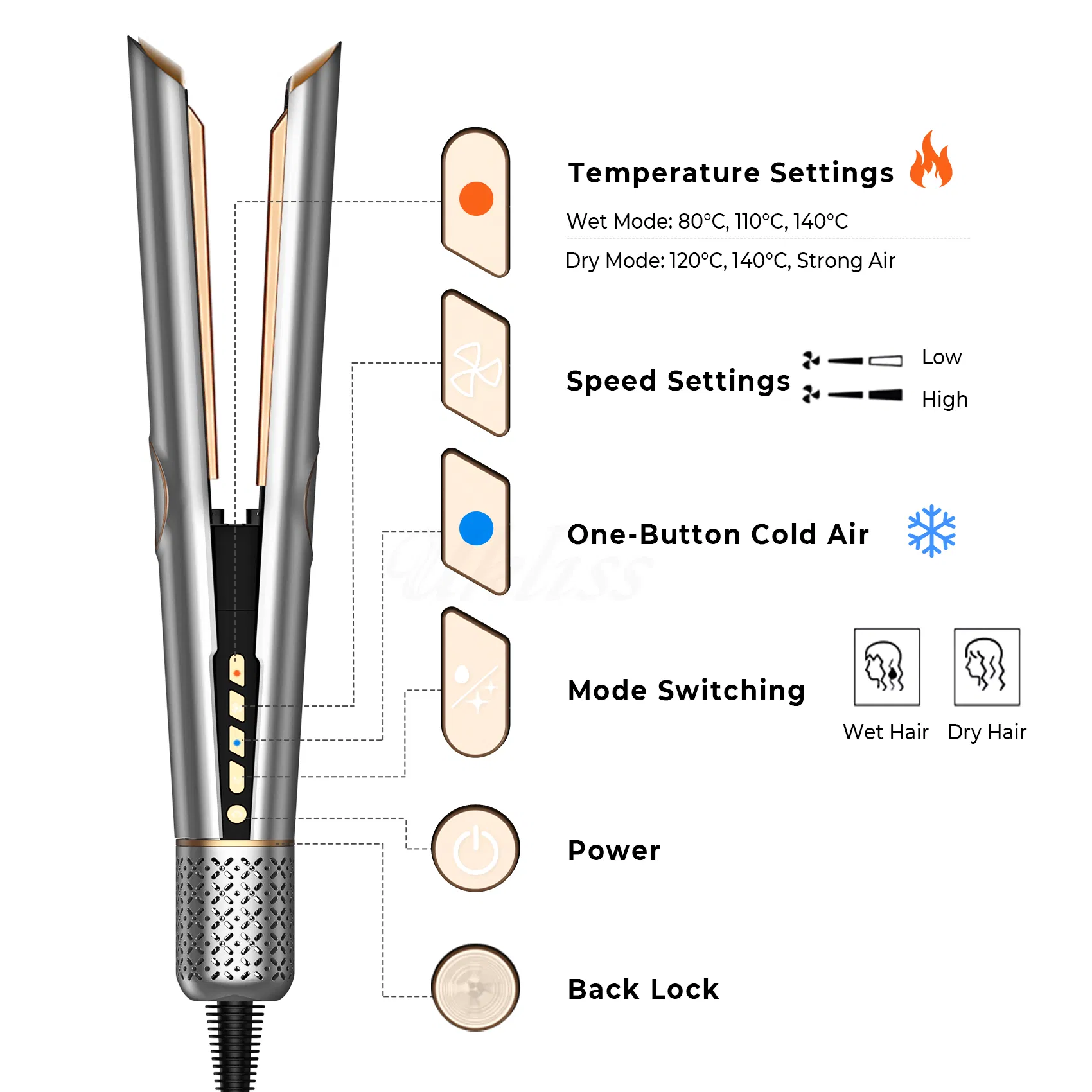2-in-1 Hair Dryer Straightenernew Style Quick Heating LCD Temperature Display Salonhair