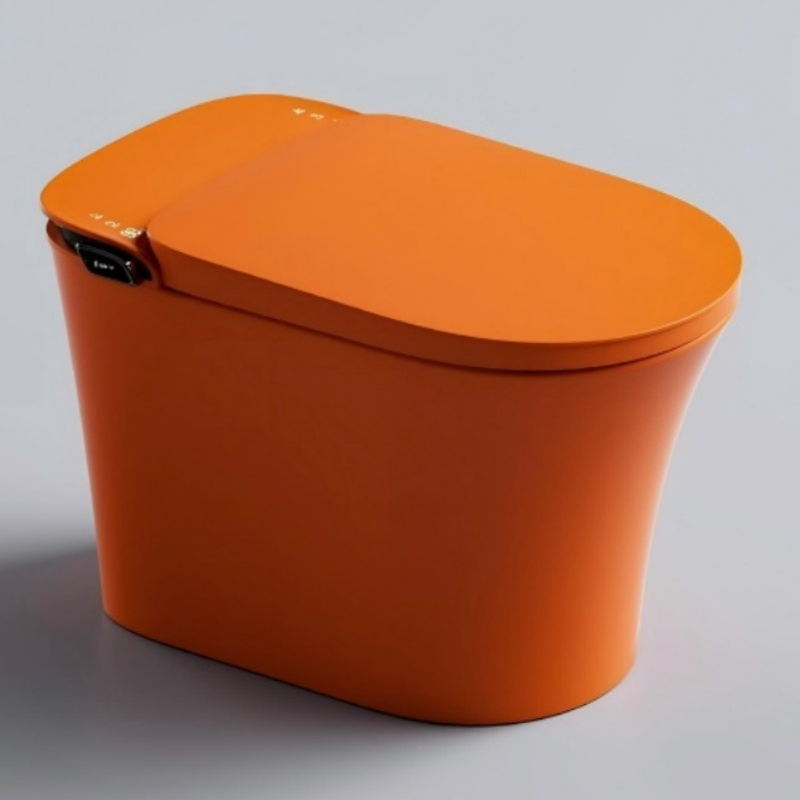 Modern Intelligent Toilet Ceramic Remote Control Intelligent Toilet Seat