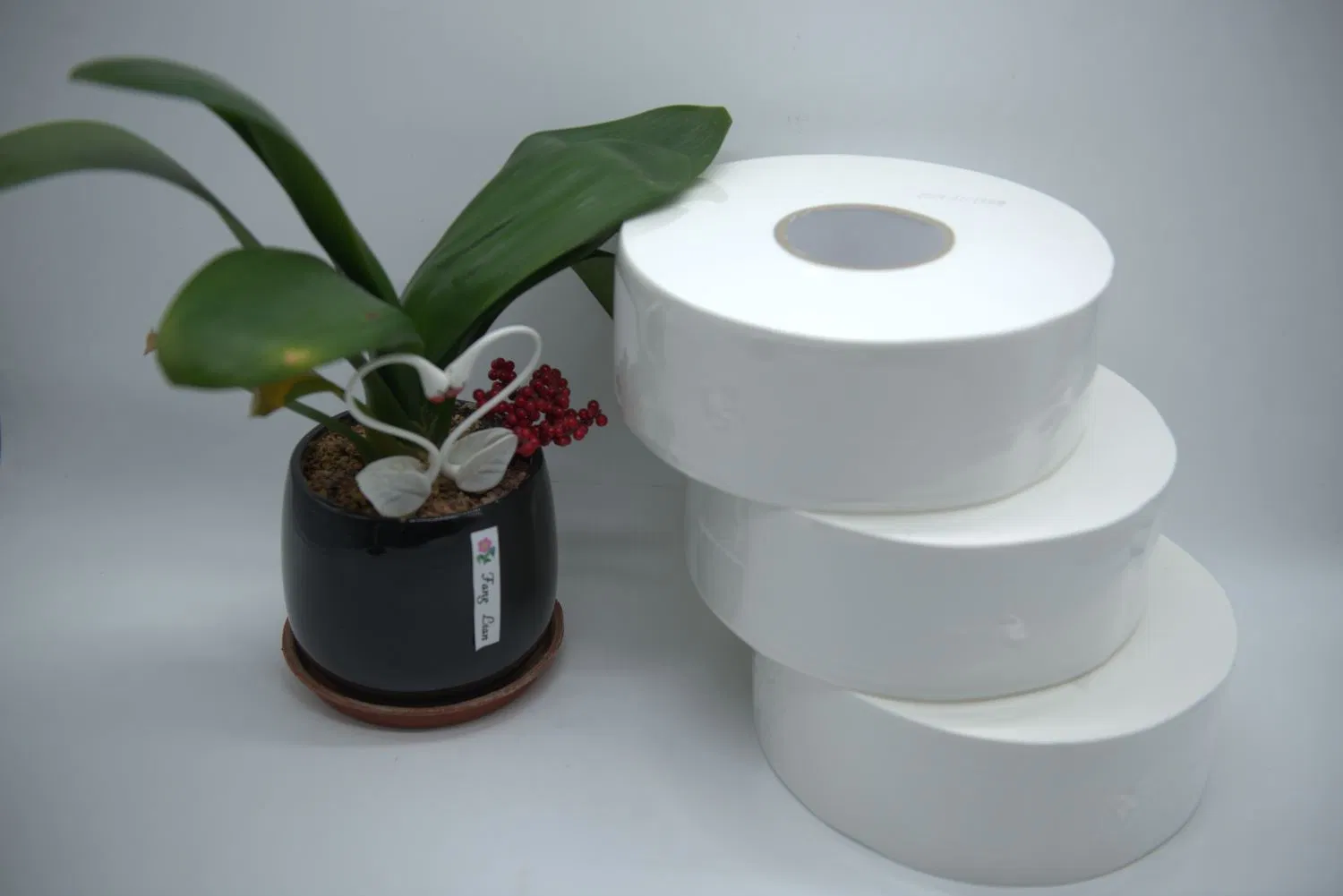 Eco-Friendly Recycled Bamboo and Wood Blend Toilet Tissue - Mini Jumbo Roll