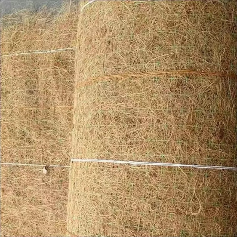 Ecological Coconut Fiber Blanket Stabilizes Slope/Greening Protection/Reclamation Flood/Prevention Plant Mat