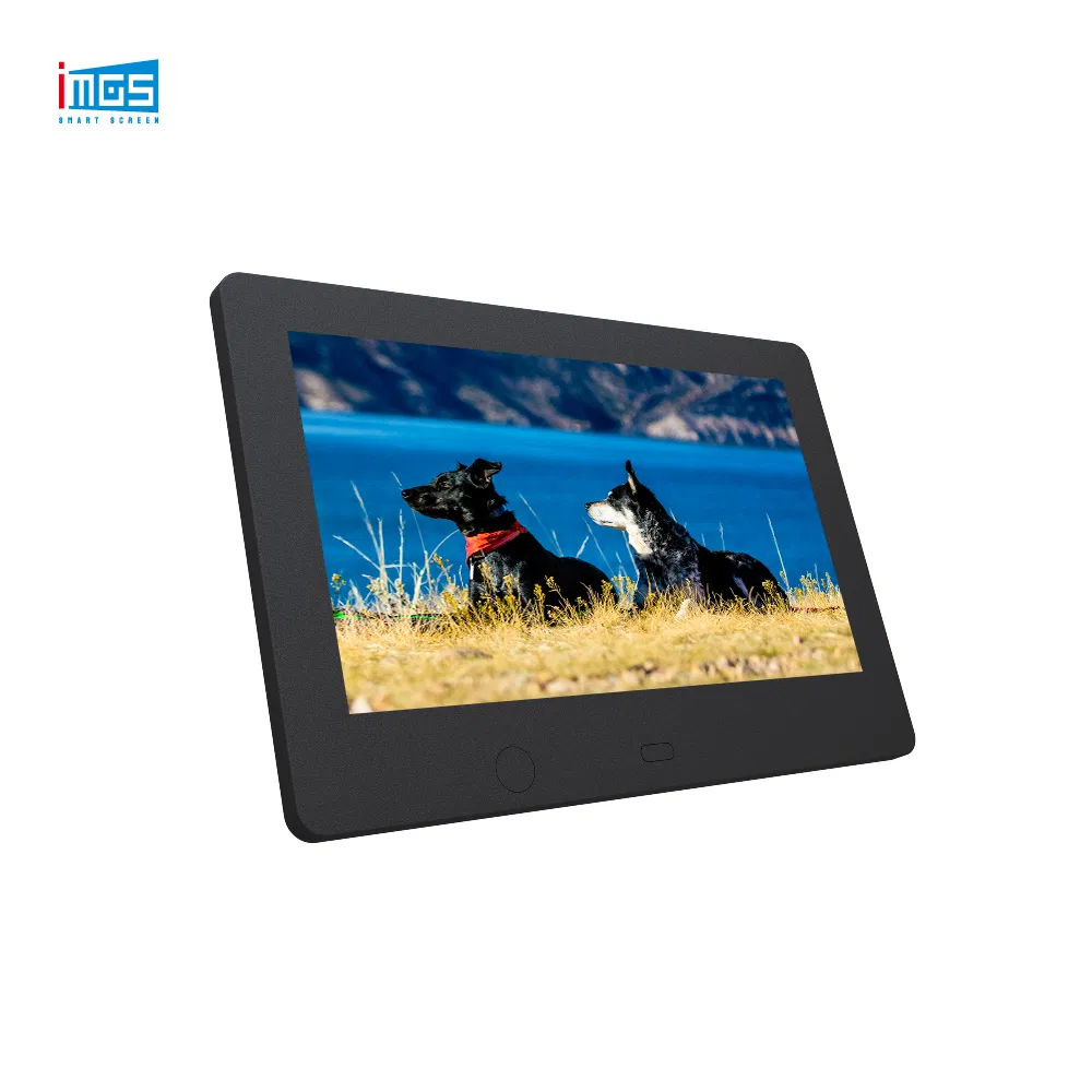 7-21.5 Inch Digital Photo Frame Picture Video LCD Frames