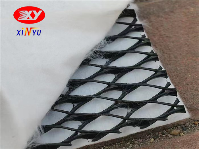 Two Dimension 4mm 5mm 7mm 6mm Geocomposite HDPE Biplanar Drainage Geonet Hot Bonded with One or Two Sides Geotextile Factory Price