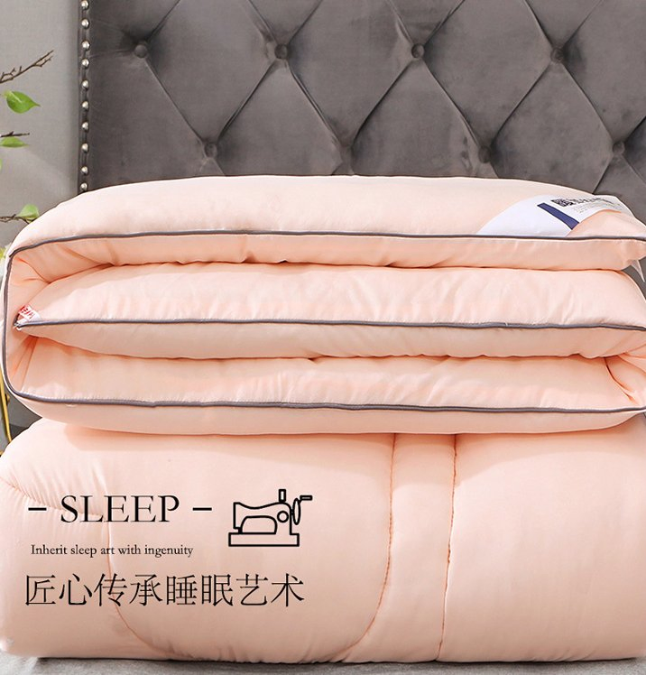 Printed Frosted Thickened Winter Quilt Core Double Hotel Autumn and Winter Quilt