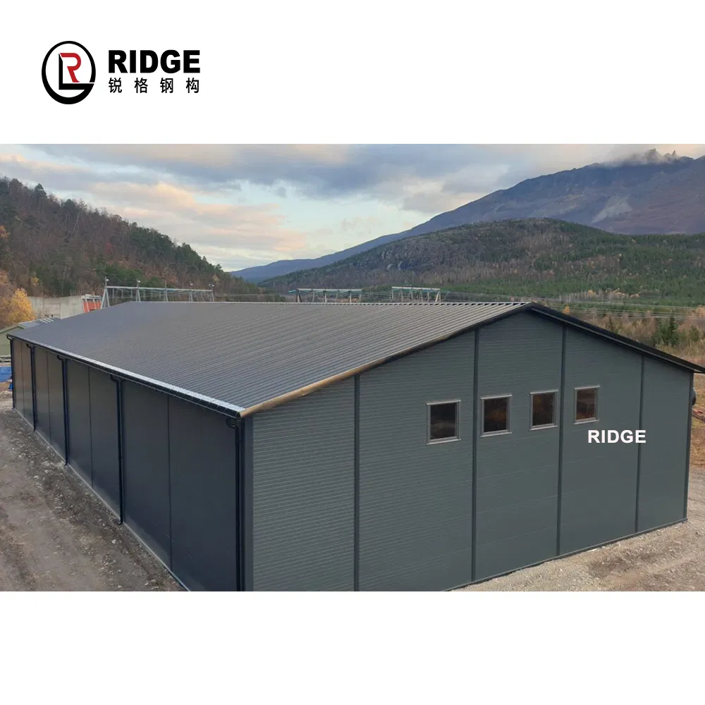 Light Steel Space Frame Warehouse Metal Structure Layout Workshop for Furniture Factory