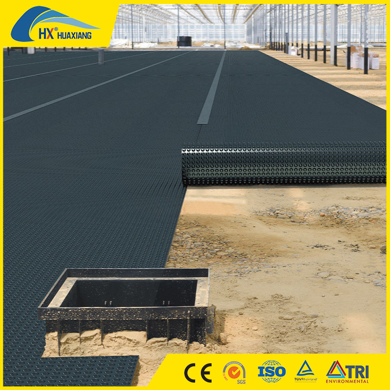 Factory Customized HDPE Dimple Sheet Plastic Drainage Board for Water Treatment Engineering